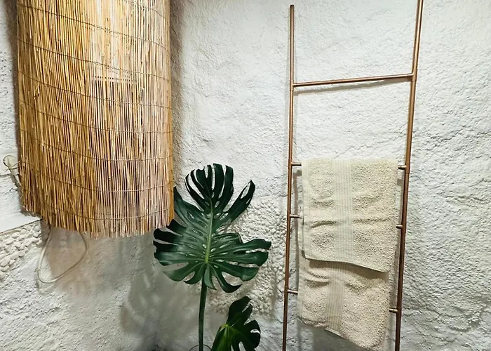 Arya\'S Nest